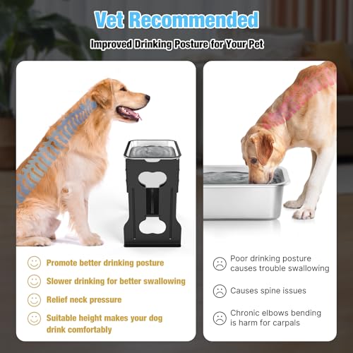 16" Elevated Dog Water Bowl (16" Height)