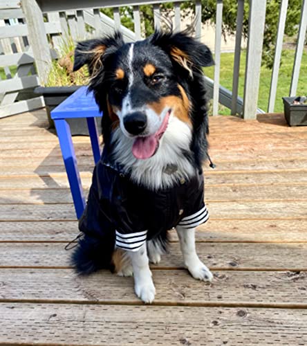 Dog Zip Up Raincoat with Reflective Buttons (XX-Large / Black)