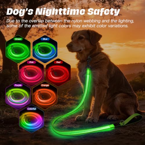 Light Up Dog Leash (Green / 4FT)