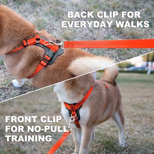No Pull Dog Harness with Leather Accents (L / Orange)