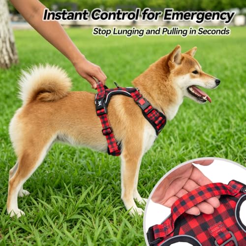 Plaid Dog Harness Large (XL / Checkered Red)