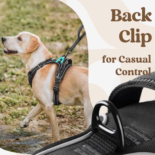 Dog Harness Medium Sized (Medium / Black)