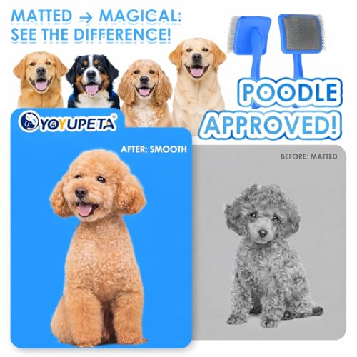 Large 3 in 1 Dog Grooming Kit (Blue)