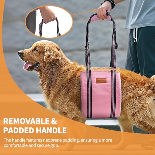 Dog Lift Harness for Large Dogs (X-Large (Pack of 1) / Pink)