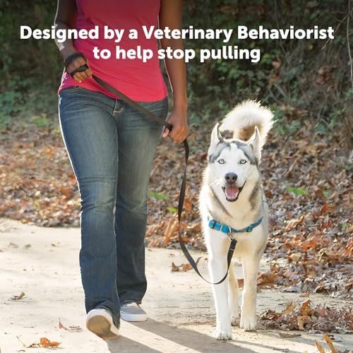Easy Walk Deluxe Dog Harness (Medium/Large / Steel)