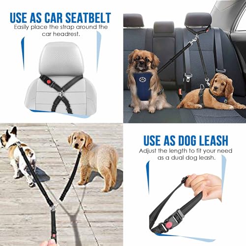 Double Dog Car Seat Belt (Black-Detachable)