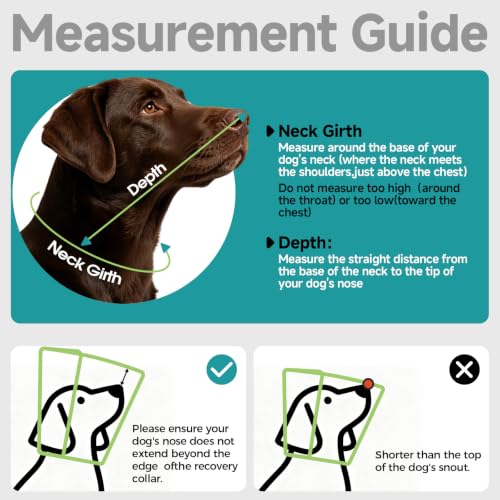 Dog Cone Collar to Stop Licking (Green / Xl)