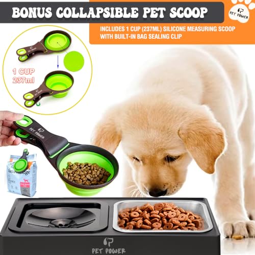 Elevated Dog Bowls (No-Spill Water Bowl & Stainless Steel Bowl Black)