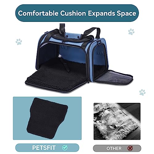 Dog Carrier for Small Dogs (Large / Blue)