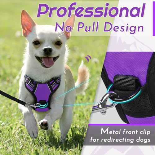 Dog Harness for Small Dogs (X-Small / Purple)