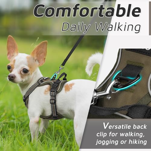 Dog Harness for Small Dogs (X-Small / Brown)