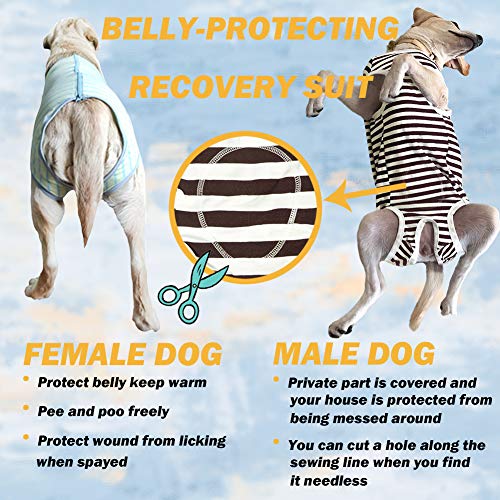 Dog’s Recovery Suit Post Surgery Shirt for Female Male Dog (3xl / red white stripe)