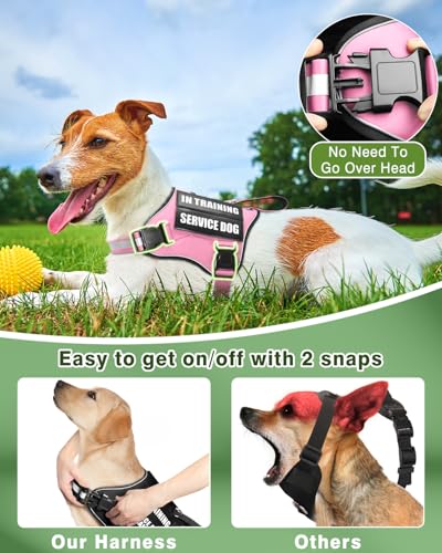 Small Service Dog Vest Harness and Leash Set+10 Patches Pink XS (Extra-Small / Pink)