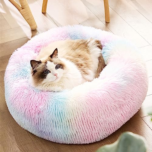 Calming Cat Beds Donut Round Washable Kitten Bed (20"L x 20"W x 6"Th / Multi Color)