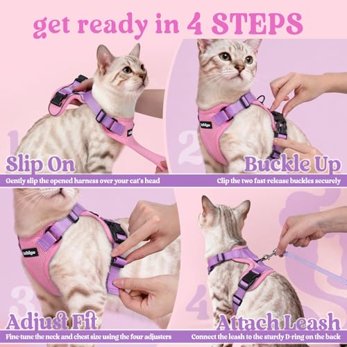 Cat Harness and Leash Set (M / Pink & Light Purple)