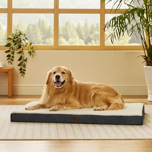 XL Dog Bed Extra Large Pet Bed with Comfy Sherpa (44"L x 32"W x 3"Th / Grey)