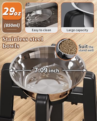Elevated Dog Bowl (H: 6.3-10.6''; W: 6.1-10.4'')