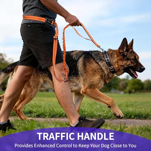 Hands Free Dog Leash by Kazazoo (ORANGE Bungee / M)