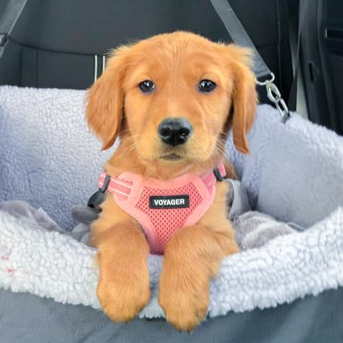 Voyager Step in Flex Adjustable Dog Harness (Harness (Pink) / XS)