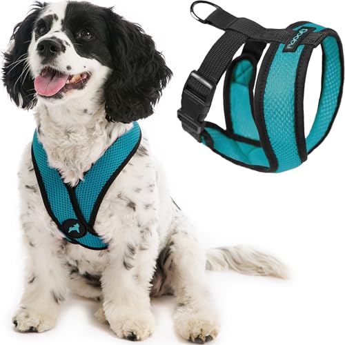 Comfort X Head (Medium Chest (14.25-18.75") / Turquoise)