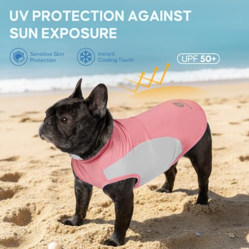 2Pack Dog Cooling Shirt with UPF 50+ UV Protection (Large (12-18lbs) / Pink)
