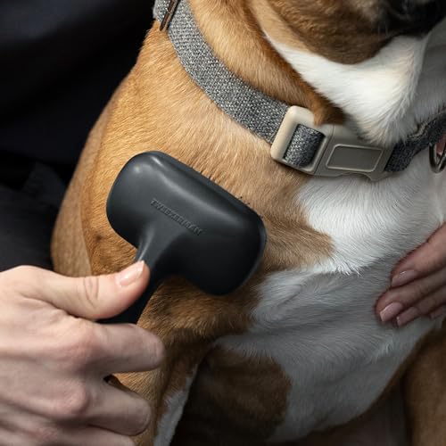 Slicker Brush for Small Pets (Small)