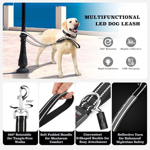 4 Ft LED Dog Leash (4 Ft)