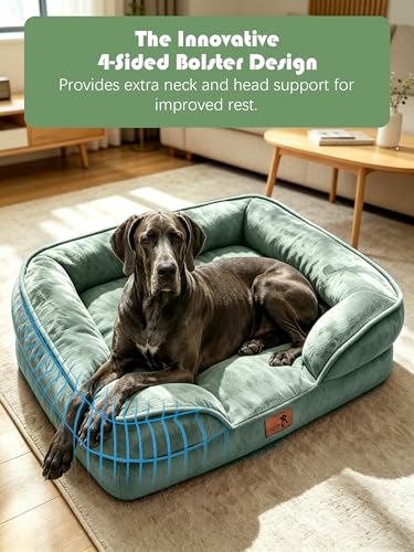 Orthopedic Dog Bed with Sides (53.0"L x 42.0"W x 8.0"Th / Green)