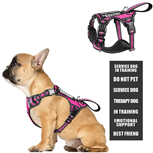 Service Dog Vest No Pull Dog Harness with 7 Dog Patches (Small / Rose Pink)