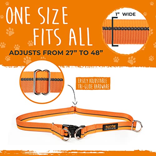Hands Free Dog Leash (48" / Orange)