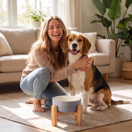Elevated Ceramic Dog Bowl with Bamboo Stand (White Gray / 3.6Cup)