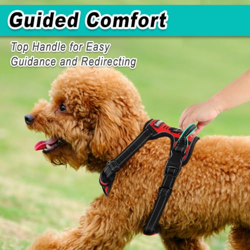 Dog Harness for Small Sized Dog No Pull 2 Leash Clips Dog Vest (X-Small / Red)