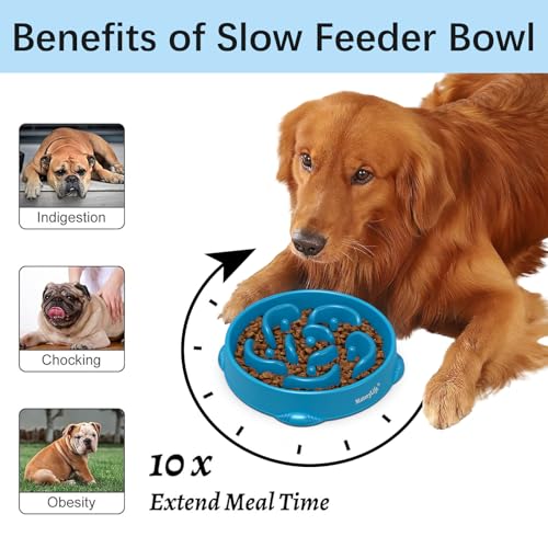 1 Pack Slow Feeder Dog Bowls (G-DarkBlue / Large)