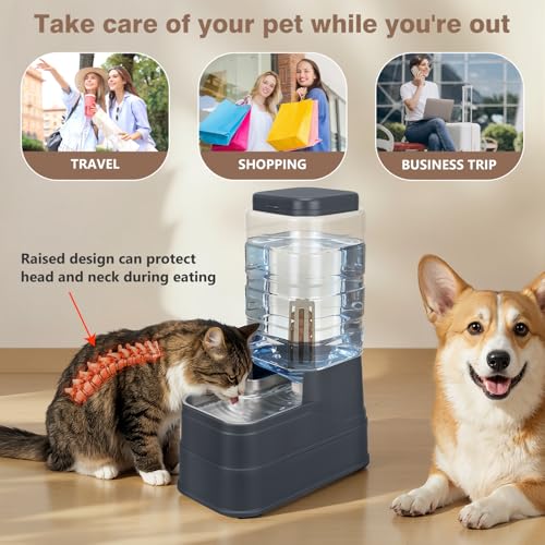 2.2 Gallon Pet Automatic Dog Water Dispenser Cat Gravity Waterer Feeder with Stainless Steel Bowl 8L Large Capacity Puppy Feeding Raised Bowls with Filter (Charcoal Gray / 8L(2.2 Gallon))