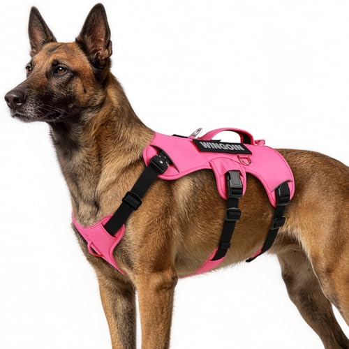 Dog Vest Harness for Large Dogs (Hotpink / Large: 45-80 lbs (Chest:27-37",Neck:19-25"))