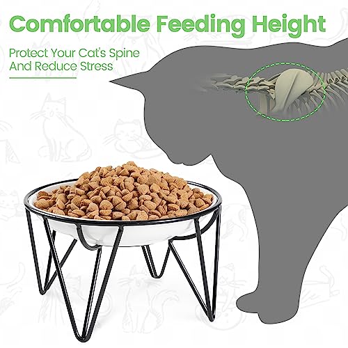 Ceramic Elevated Cat Bowls (raised dish,1 pack / fishbone)