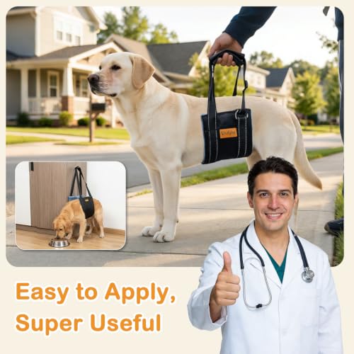 Dog Lift Harness for Large Dogs (L)