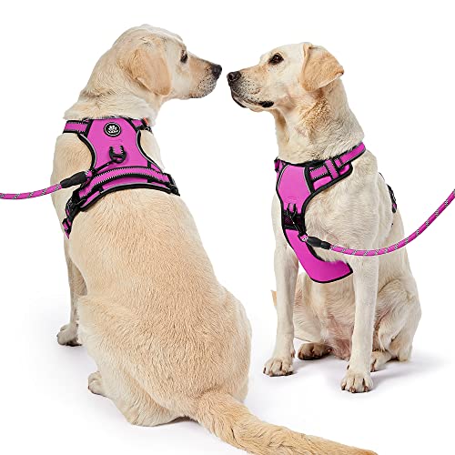 Dog Harness for Medium Sized Dog (Fuchsia Pink / Medium)