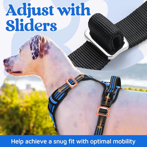 Dog Harness Small Sized (Blue / Small)