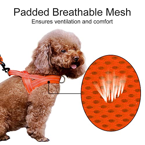 No Pull Dog Harness for Large Dogs (L: chest 25.2"-32.3" / Orange)