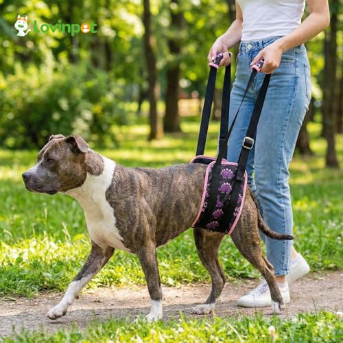 Dog Lift Harness Rear Support Sling (Black Pink)