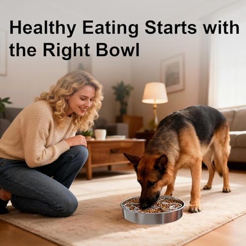 304 Stainless Steel Slow Feeder Dog Bowls (B: Silver)