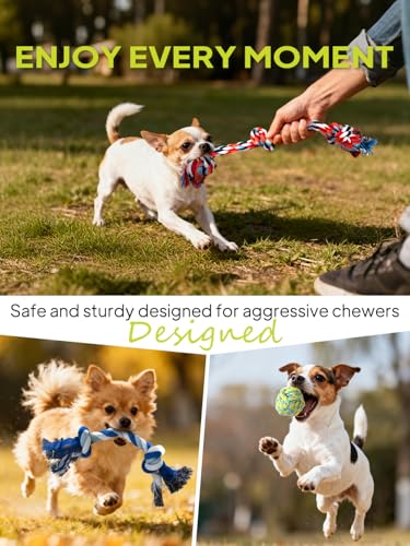 Dog Rope Toy 9 Pack (Blue / Mini/Small)