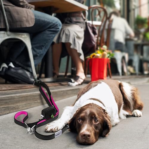 Heavy Duty Dog Leash for Large Dogs (Purple - Blue)