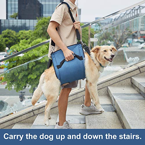 Dog Carry Sling (XX-Large / Blue)