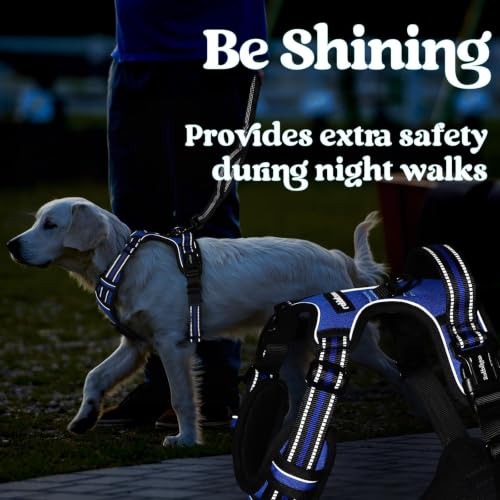Dog Harness Medium Sized (Medium / Blue)
