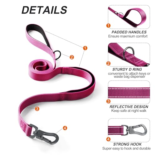 4FT 1IN Heavy Duty Dog Leash for Large Dogs with 2 Padded Handles (Rose / 1 in x 4 ft)