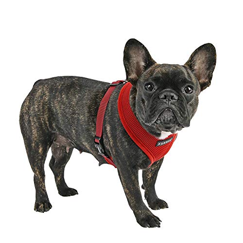 Soft Dog Harness (Wine / Medium)