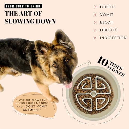 Slow Feeder Dog Bowls for Large Breeds Fits Raised Feeding Station (Slow Feeder Stone Beige / 2.5 Cup - Fit 7.5-7.7'' Feeder Holes)
