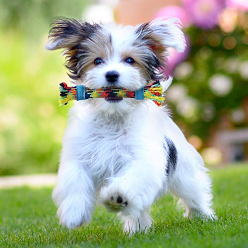 Puppy Rope & Tug of War Toys for Teething